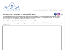 Tablet Screenshot of cms-photo.com